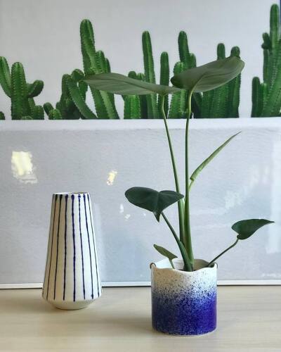 Bulk Lots - Ceramic Vases, Plates & Hanging Planters