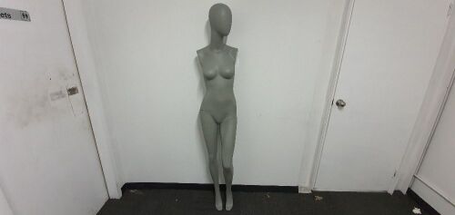 Freestanding mannequin (Female)