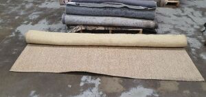 Mixed Pallet of Rugs - 8