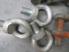 Quantity of 9 x D Shackles, 4 x 12 Ton, 5 x 13.5 Ton, 3 x Eye Bolts, 5.1 Ton - 6