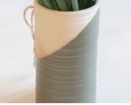DNL - Carton of The Split Vases