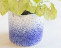 DNL - Carton of Large Hanging Planters - Blue Splatter