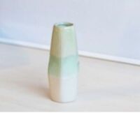 DNL - Carton of MOSS Bud Vases