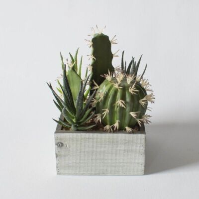 IND Faux Cactus in Wood Crate 220mm
