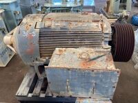 TECO 3 phase induction motor