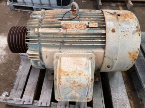 TECO 3 phase induction motor