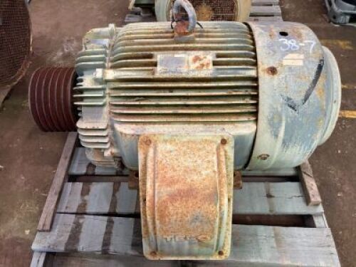 TECO 3 phase induction motor