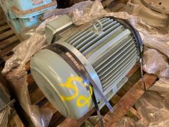 Teco 3 phase induction motor