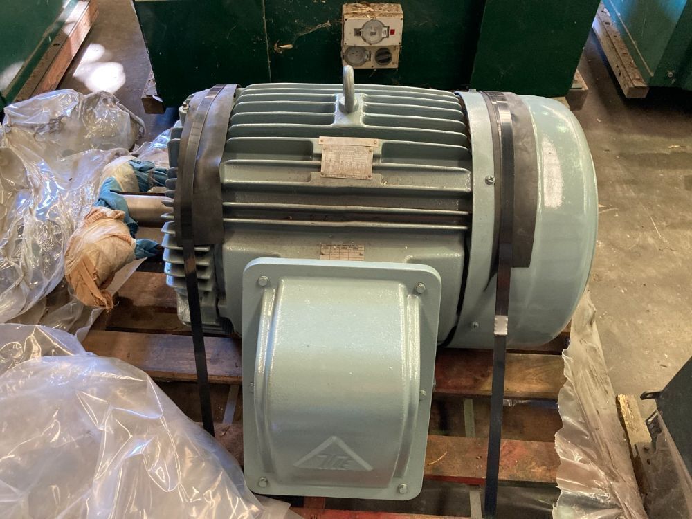 Teco 3 phase induction motor | Hilco Global APAC