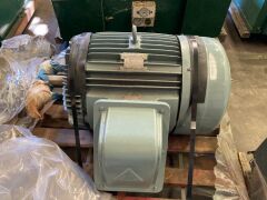 Teco 3 phase induction motor - 2