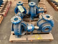 Quantity of 4 x Southern Cross Pumps