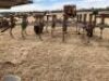 Unreserved-Horwood Bagshaw Chisel Plough - 4