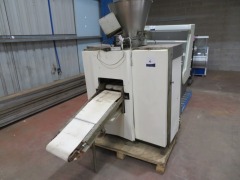 Depositor with Outfeed Conveyor, Steel Frame - 2