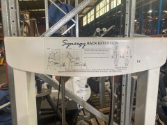 Synergy Back Extension - 2