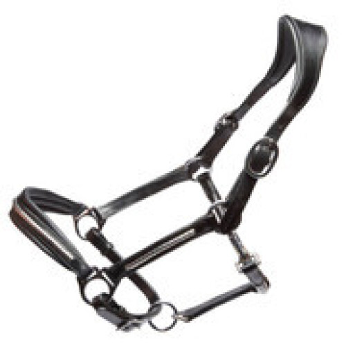Palermo English leather black clincher halter with an anatomical head piece full size