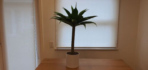 Faux Office Plant With White Pot (Medium)