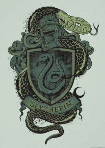 Harry Potter - Slytherin Crest Framed Print IMFP0154 3047
