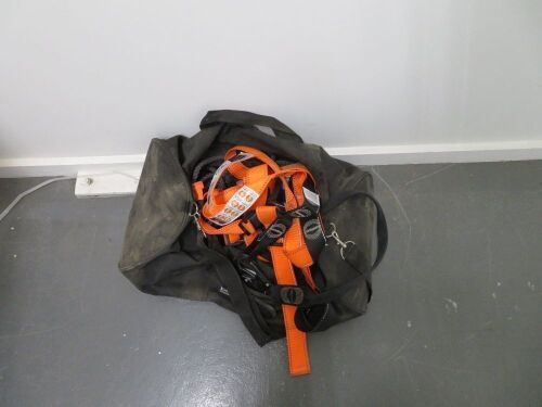 Linq Safety Harness in Bag, DOM: 07/2015 up too 07/2025