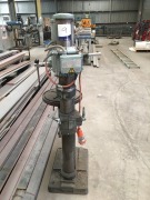 1999 Geared Head Pedestal Drill - 4