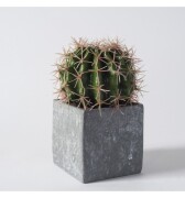 IND Faux Ball Cactus in Concrete Effect Cube