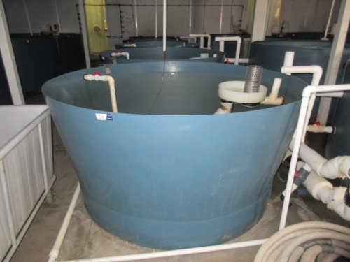 Quantity of 5 Fish Growing Tanks - Open top, 2000 litre, overall 2100 dia x 050mm H