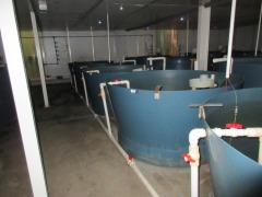 Quantity of 5 Fish Growing Tanks - Open top, 2000 litre, overall 2100 dia x 050mm H - 4