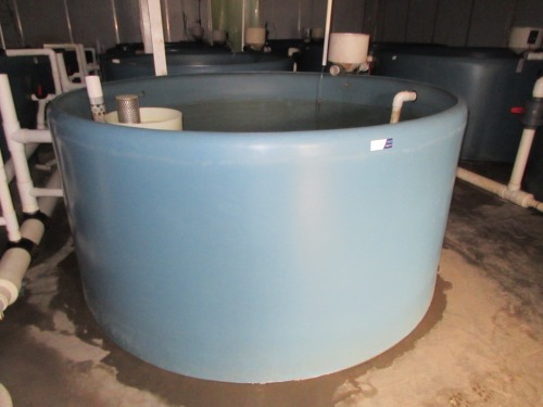 Quantity of 4 Fish Growing Tanks - Open top, 4000 litre, overall 2400 dia x 1220mm H