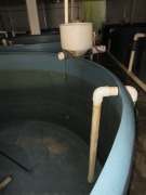 Quantity of 4 Fish Growing Tanks - Open top, 4000 litre, overall 2400 dia x 1220mm H - 4