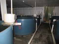 Quantity of 4 Fish Growing Tanks - Open top, 4000 litre, overall 2400 dia x 1220mm H - 5
