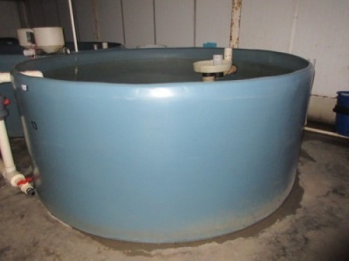 Quantity of 4 Fish Growing Tanks - Open top, 8000 litre, overall 3000 dia x 1200mm H