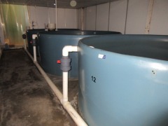 Quantity of 4 Fish Growing Tanks - Open top, 8000 litre, overall 3000 dia x 1200mm H - 5