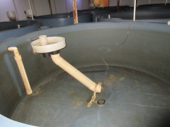 Quantity of 4 Fish Growing Tanks - Open top, 8000 litre, overall 3000 dia x 1200mm H - 2