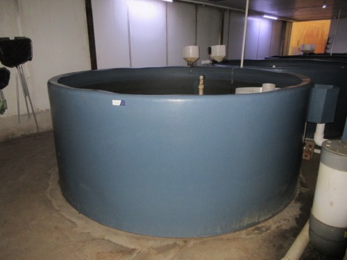 Quantity of 4 Fish Growing Tanks - Open top, 8000 litre, overall 3000 dia x 1200mm H (Timer not included)