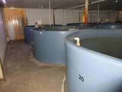 Quantity of 4 Fish Growing Tanks - Open top, 8000 litre, overall 3000 dia x 1200mm H (Timer not included) - 6