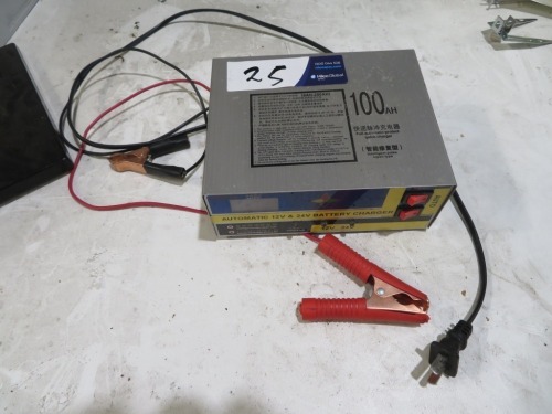 Automatic 12 V x 24 Volt Battery Charger