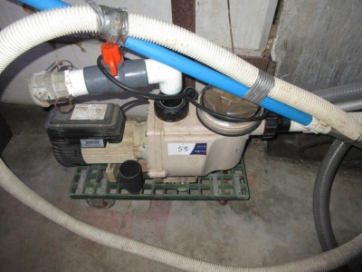2009 2-inch Portable Water Pump, E Series
