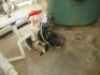 Quantity of 4 x Poly Tanks with plastic media filtration - 10