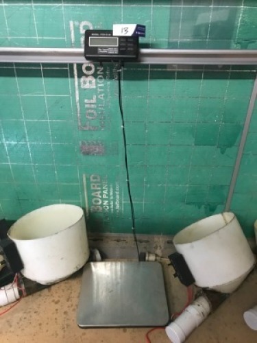Digital Platform Scales, Model: VCR-2126