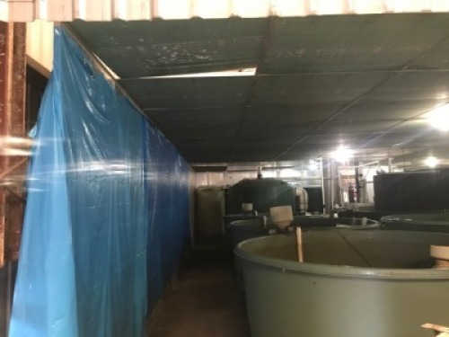 Internal Room structure, Approx 15 m x 13 m