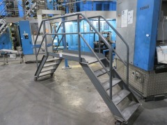 Checker Plate Walkover with Hand Rails