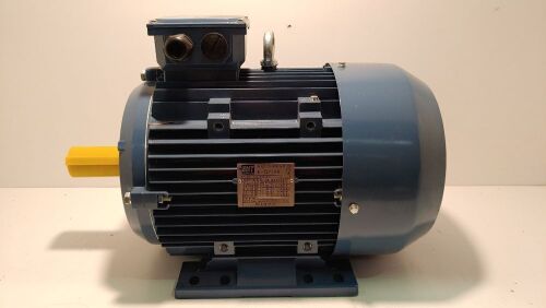 Three Phase Motor - EMT Motors - e-Drive - Type Y2AE132S2-2