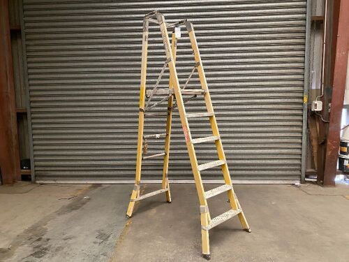 UNRESERVED Branach Industrial Platform Ladder