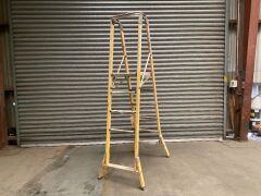 UNRESERVED Branach Industrial Platform Ladder - 3