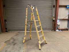UNRESERVED Branach Industrial Platform Ladder