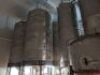 Fermentation & Maturation - 23
