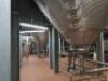 Fermentation & Maturation - 38
