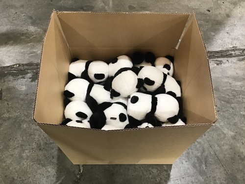 Box of Panda Teddy Bears