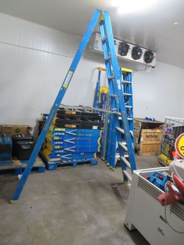 Bailey Fibreglass Step Ladder, 3m, 150Kg