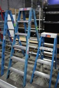 Step Ladder, Fibreglass, Make: Rhino, Model: FCDS06, Size: 1.8m, Maximum Load: 120kg