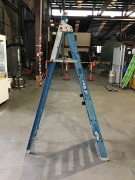 Bailey double sided ladder - 2